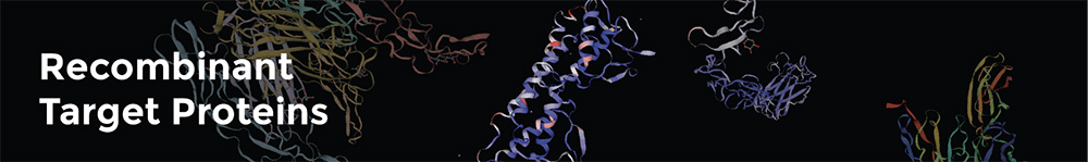 Recombinant Proteins